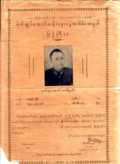bogyok-potrait-compatition-01